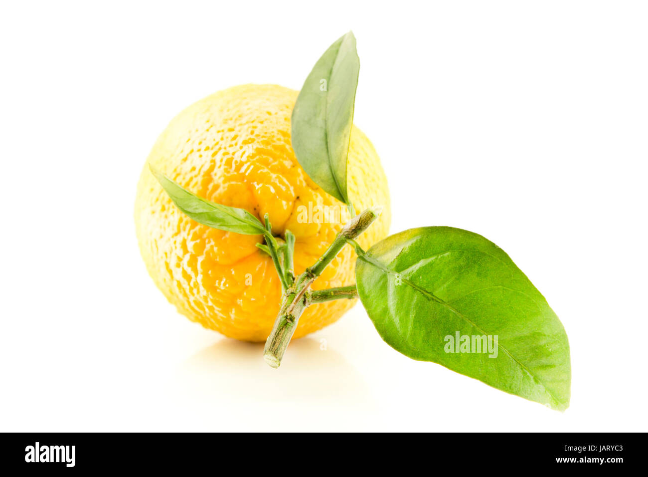 Sweet Orange Fruit with leaves Stock Photo - Alamy