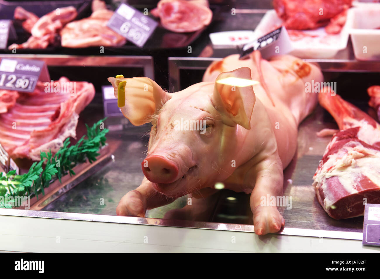 Suckling pig on sale at butchers market Pamplona in Navarre region of Spain Stock Photo