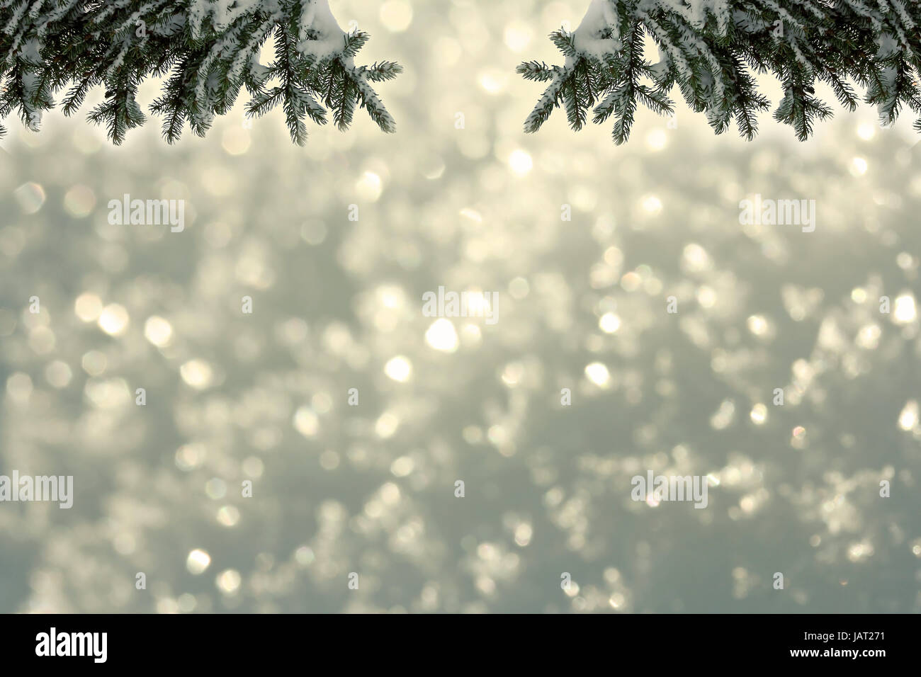 background - glittery gold and fir branches Stock Photo