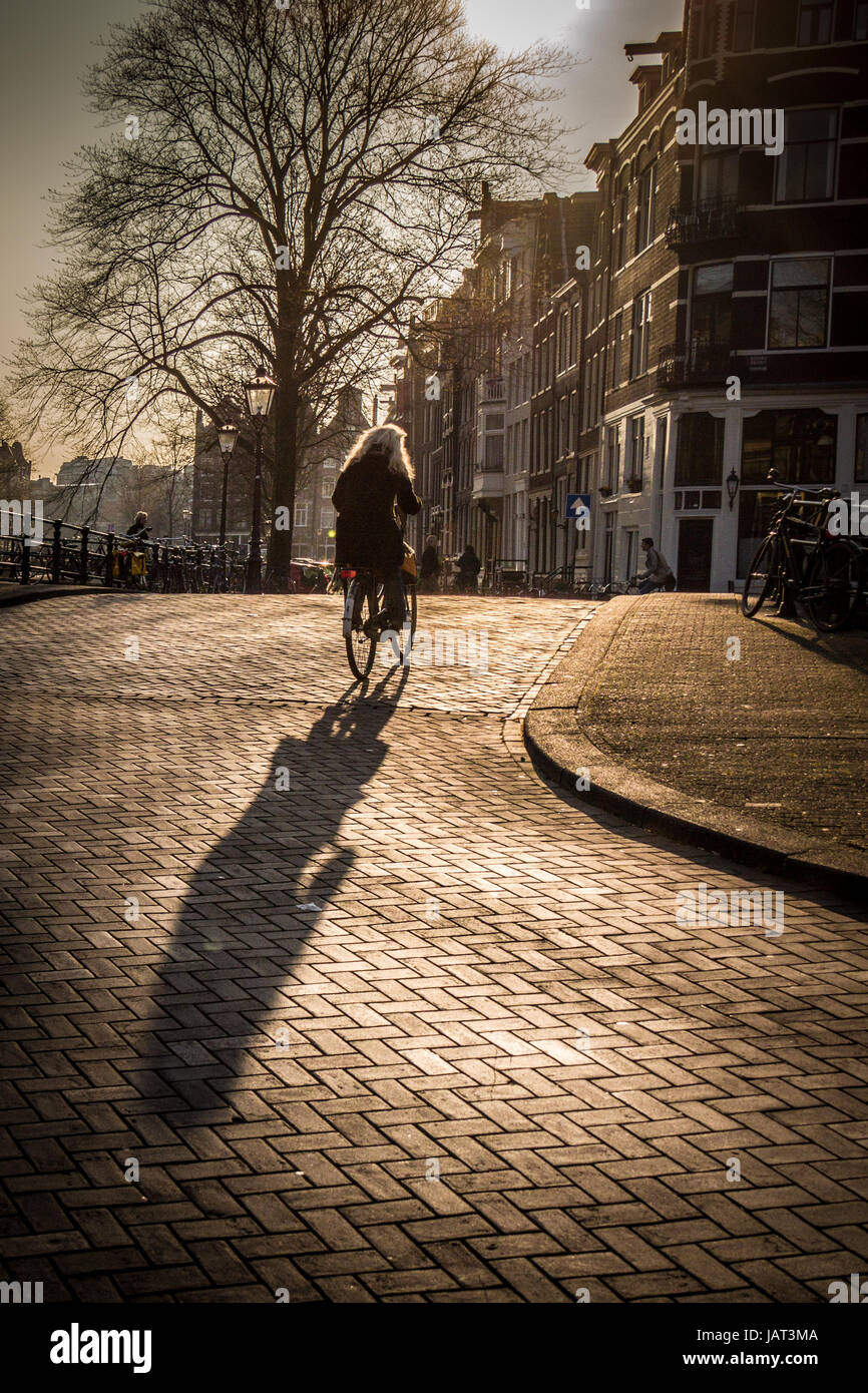 Cyclist on the streets of Amsterdam Stock Photo