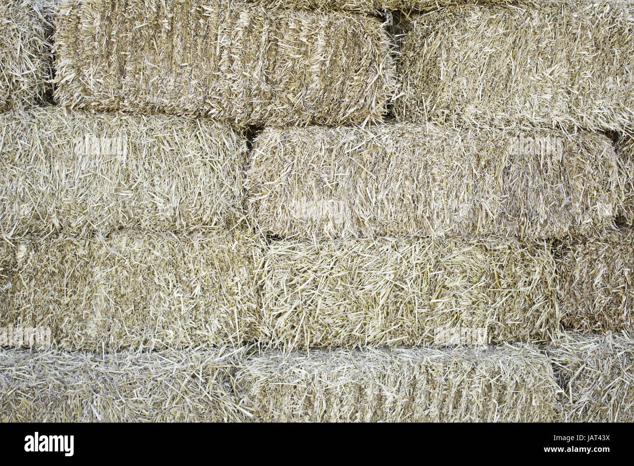 Straw barn stacked in storage, animal feed Stock Photo Alamy