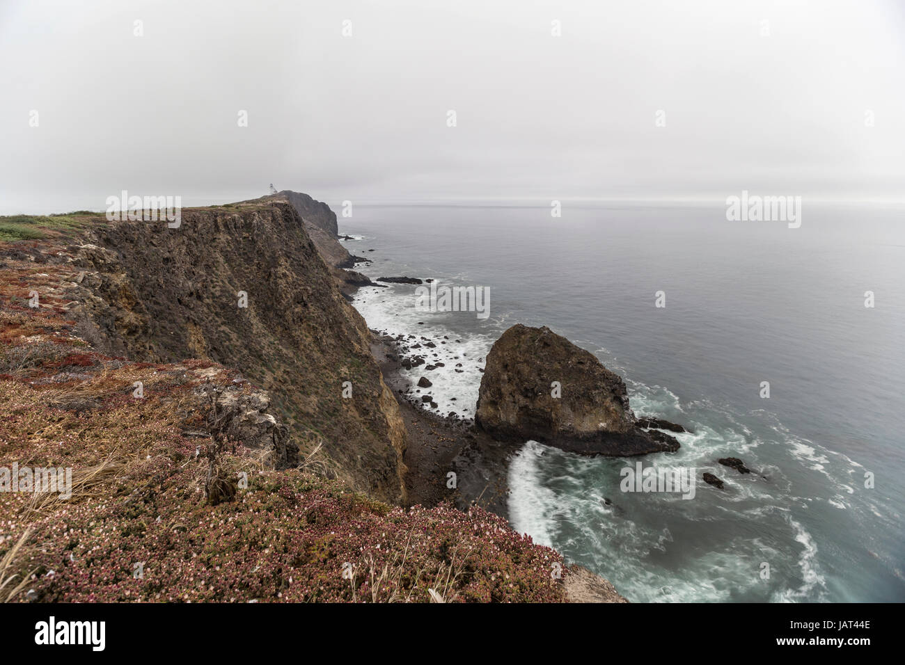 Anacapa island sea cliff at Channel Islands National Park in Southern California. Stock Photo