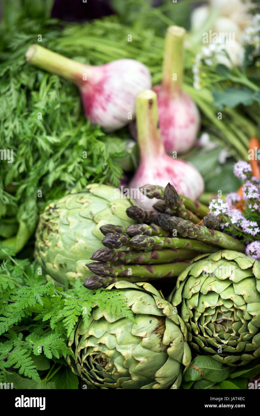 Basket of freshly picked vegetables including artichokes, garlic and asparagus in a glasshouse UK Stock Photo