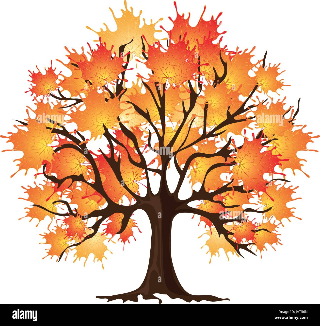maple-tree-yellow-leaves-stock-vector-images-alamy