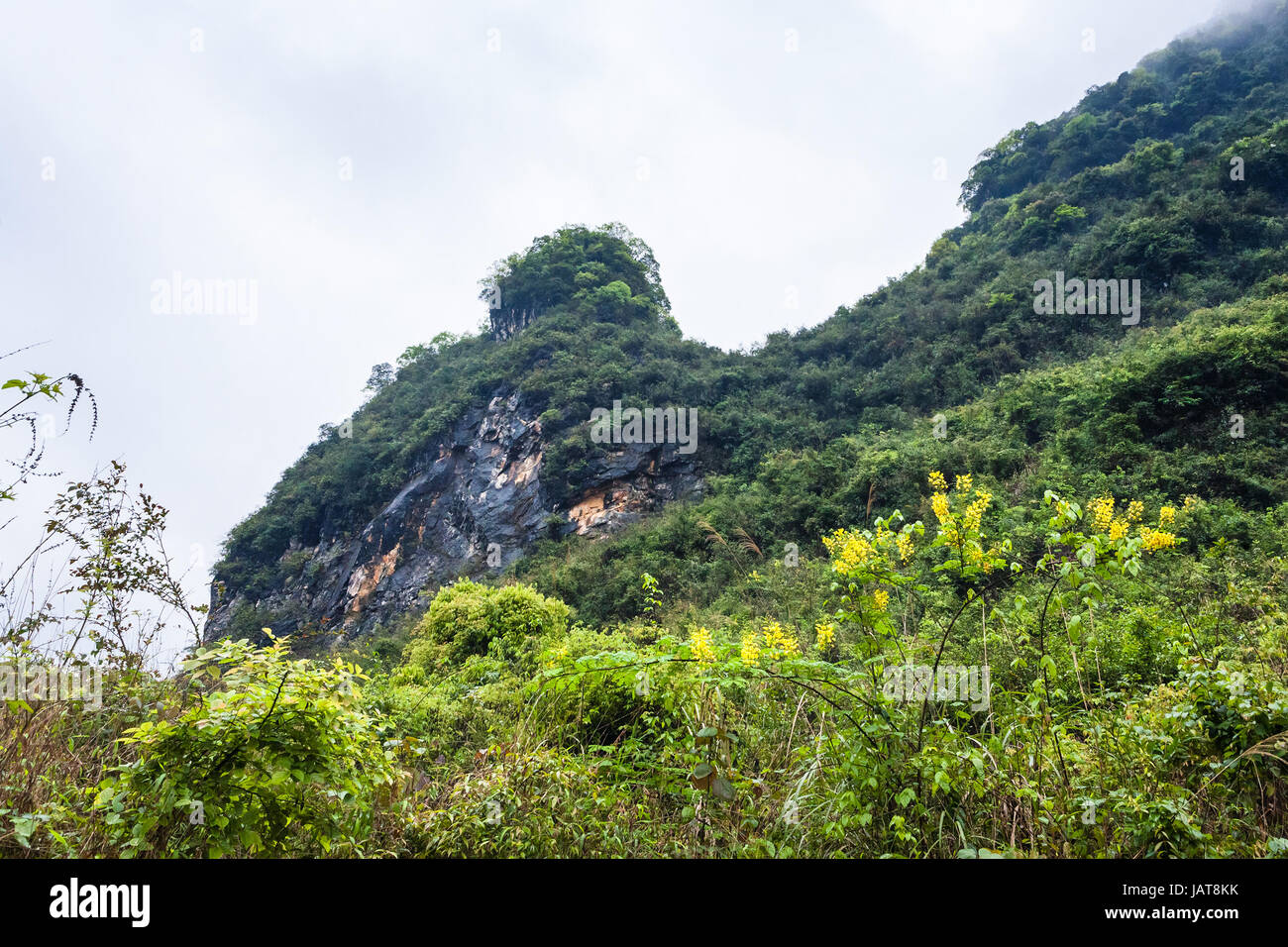 travel to China - overgrown rock of karst mountain in Yangshuo County in spring season Stock Photo
