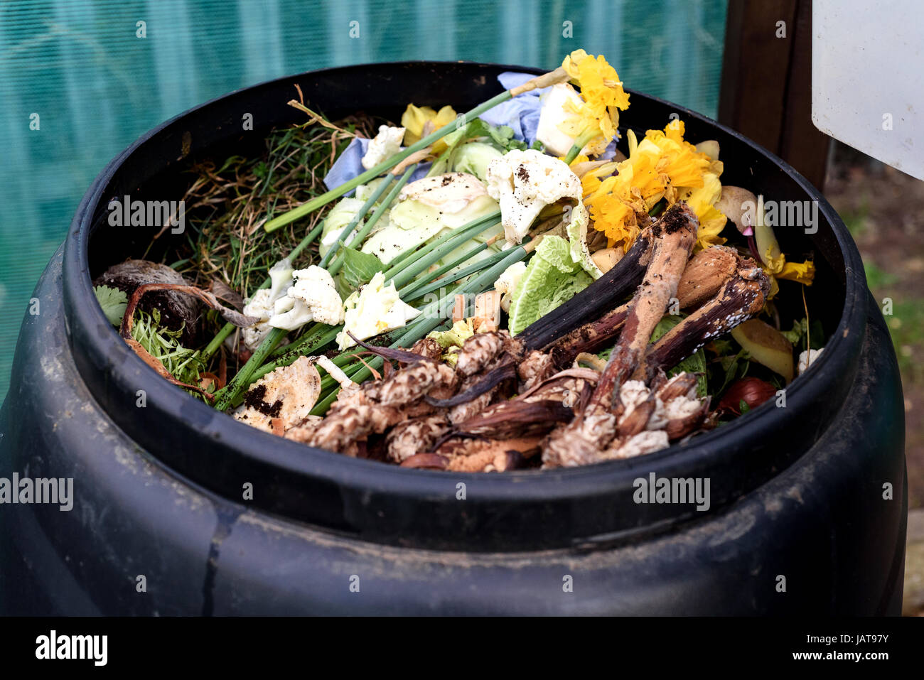 Everyday garden compost bin popular with many gardeners as a way to recycle kitchen waste Stock Photo