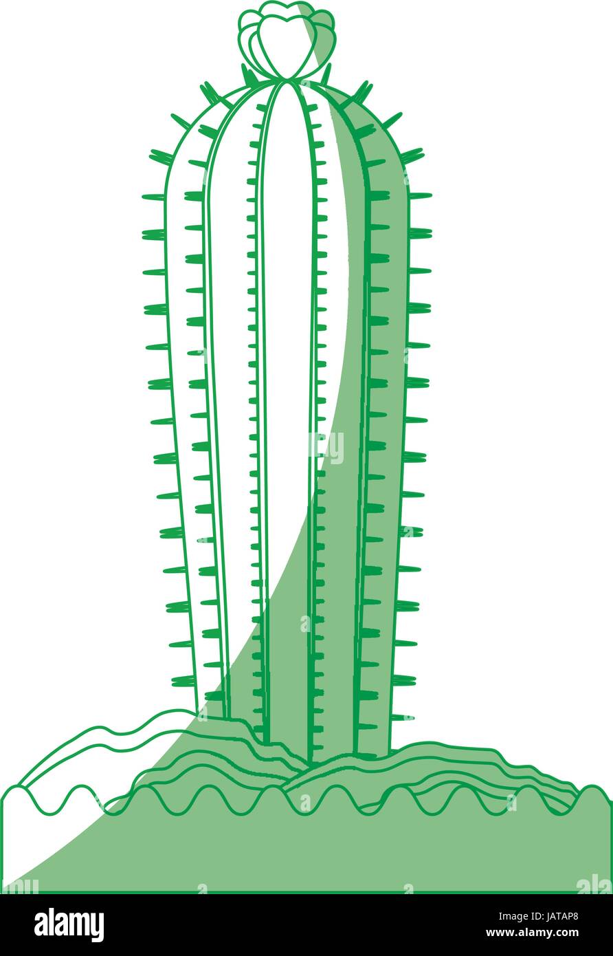 Cactus desert plant Stock Vector Image & Art - Alamy