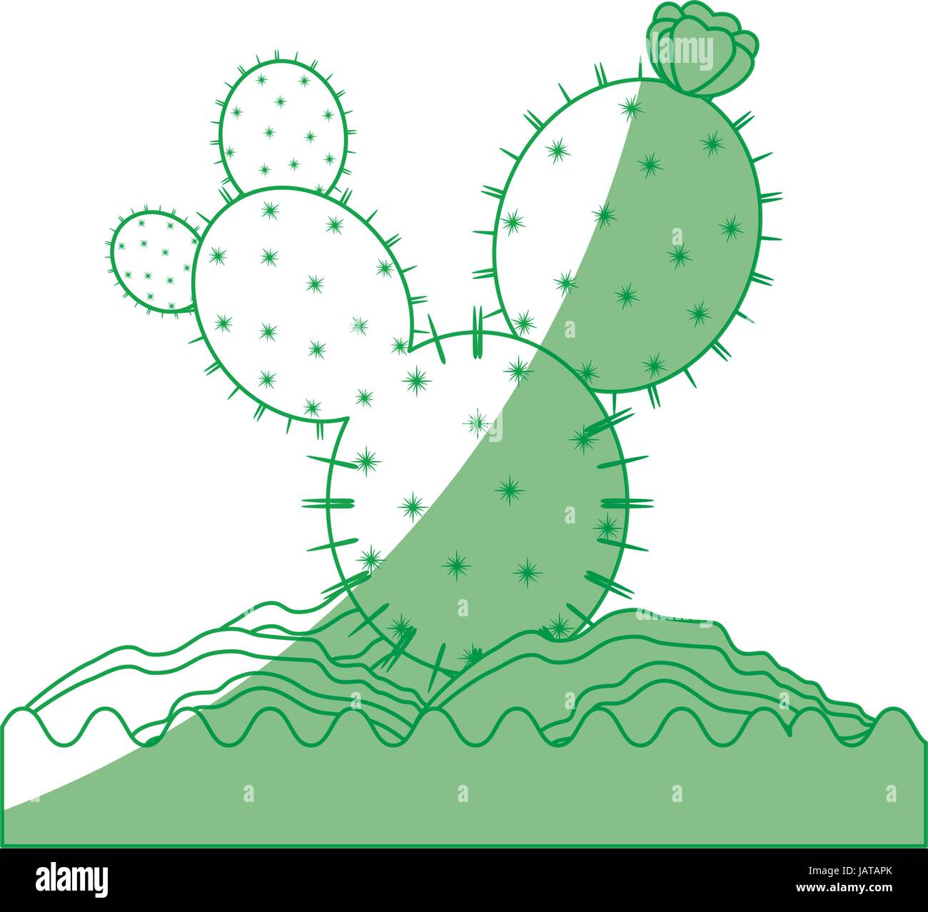Cactus desert plant Stock Vector Image & Art - Alamy