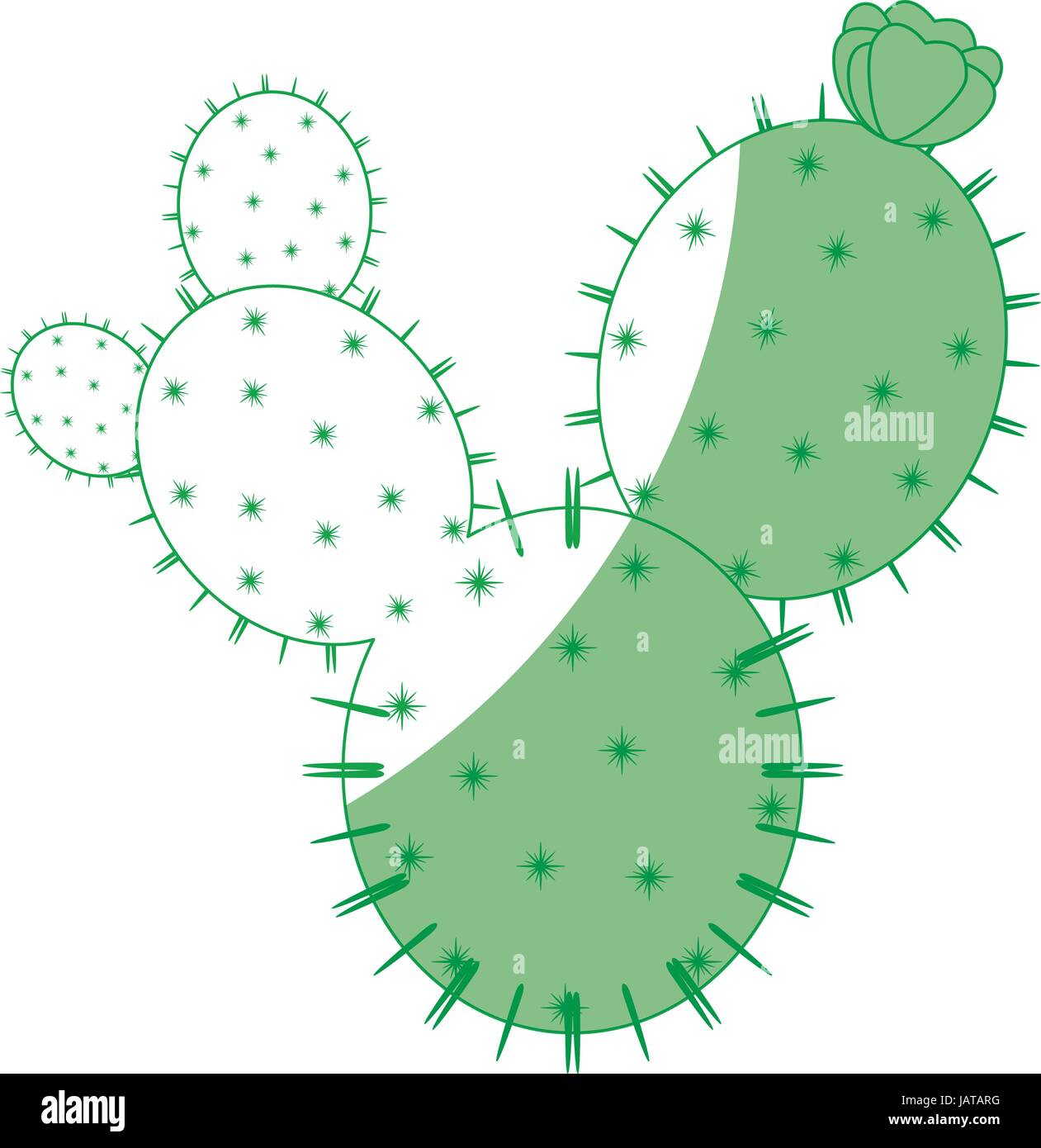 Cactus desert plant Stock Vector Image & Art - Alamy