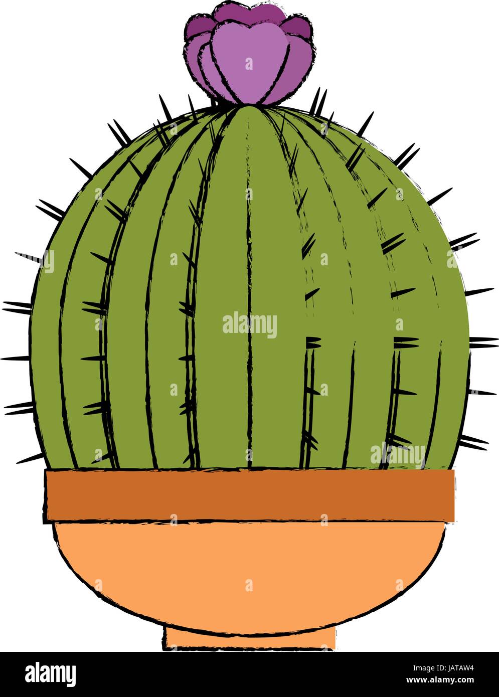 Cactus desert plant Stock Vector Image & Art - Alamy