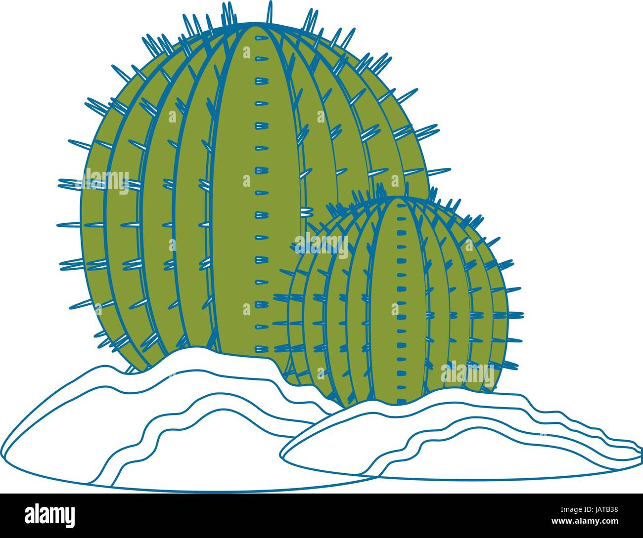 Cactus desert plant Stock Vector Image & Art - Alamy