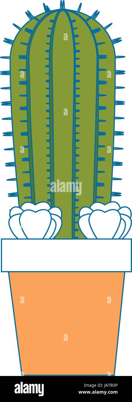 Cactus desert plant Stock Vector Image & Art - Alamy