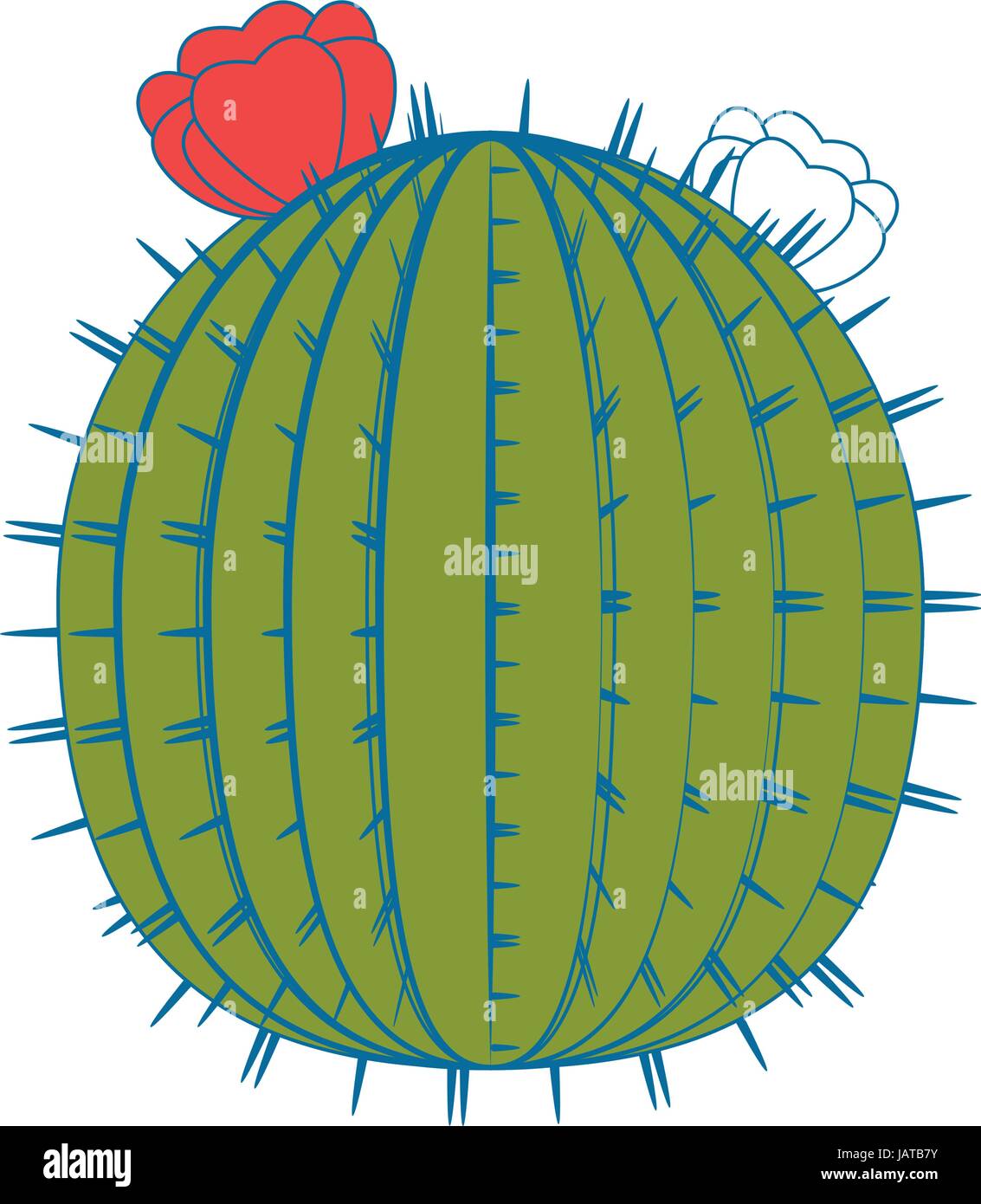 Cactus desert plant Stock Vector Image & Art - Alamy