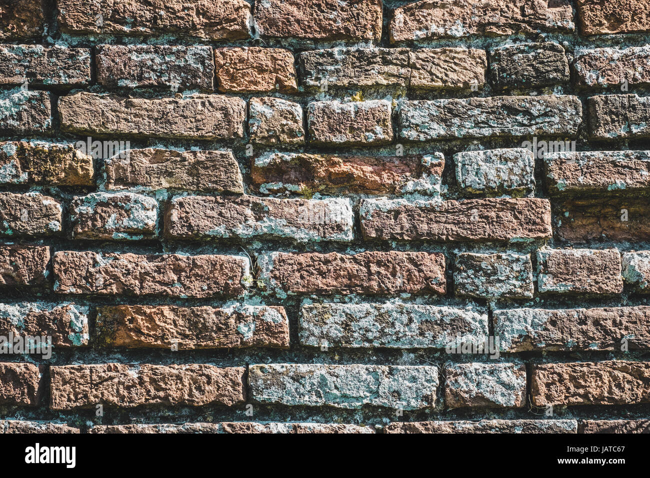 Bricks wall with lichens. Background texture Stock Photo