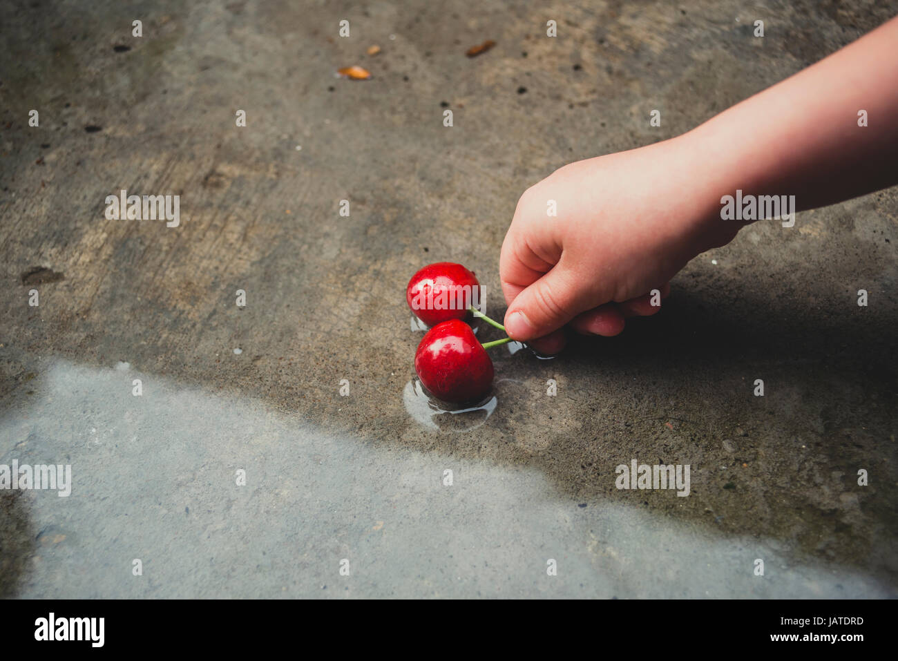 Cherries in children hands Stock Photo Alamy