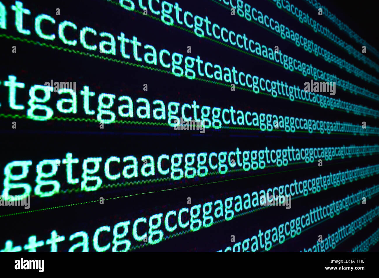 Sequencing the gene. Sequence of nucleotide bases in the decoded DNA
