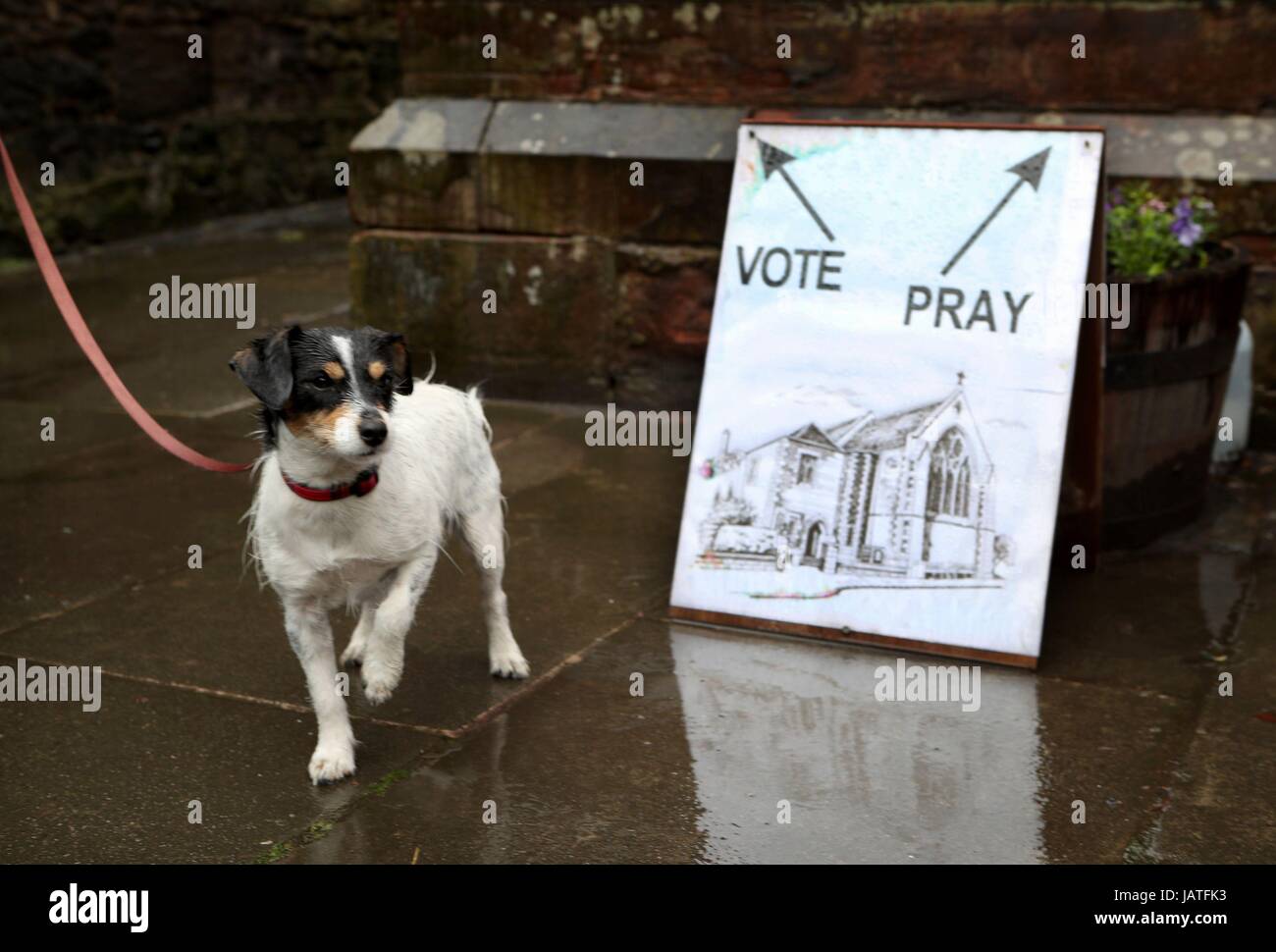 Skye the dog waits outside a polling station in St James' Church, Edinburgh as voters head to the polls across the UK to vote in the General Election. Stock Photo