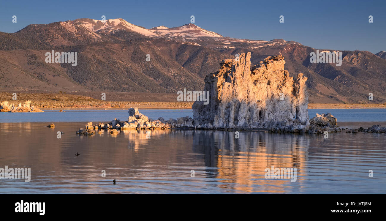 mono lake Stock Photo Alamy