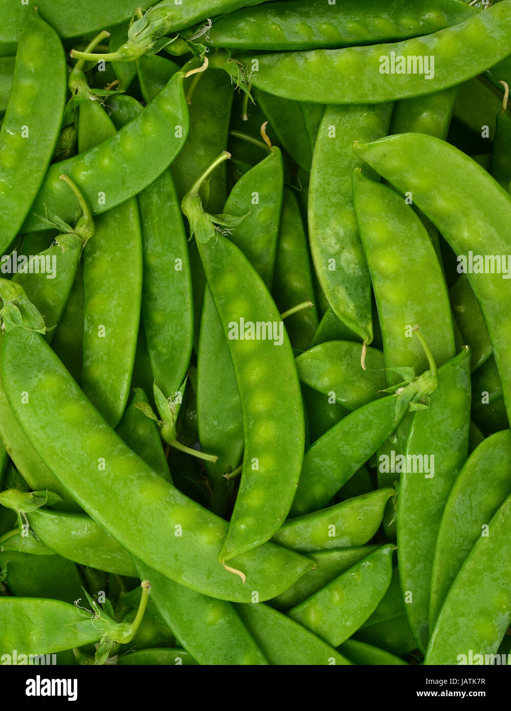 Fresh Sugar Peas Stock Photo Alamy