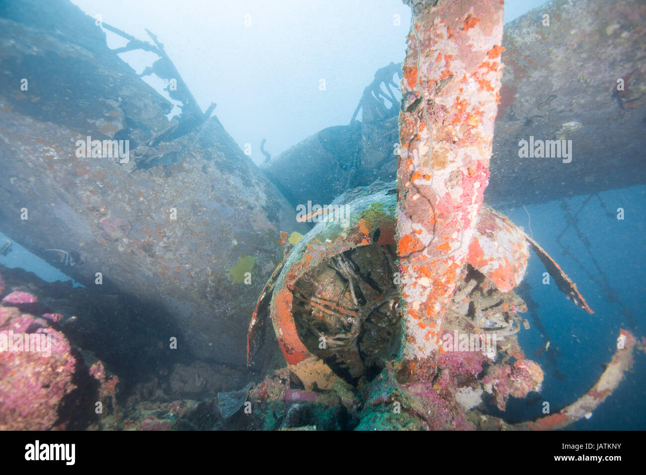 plane wreck underwater solomon islands Stock Photo