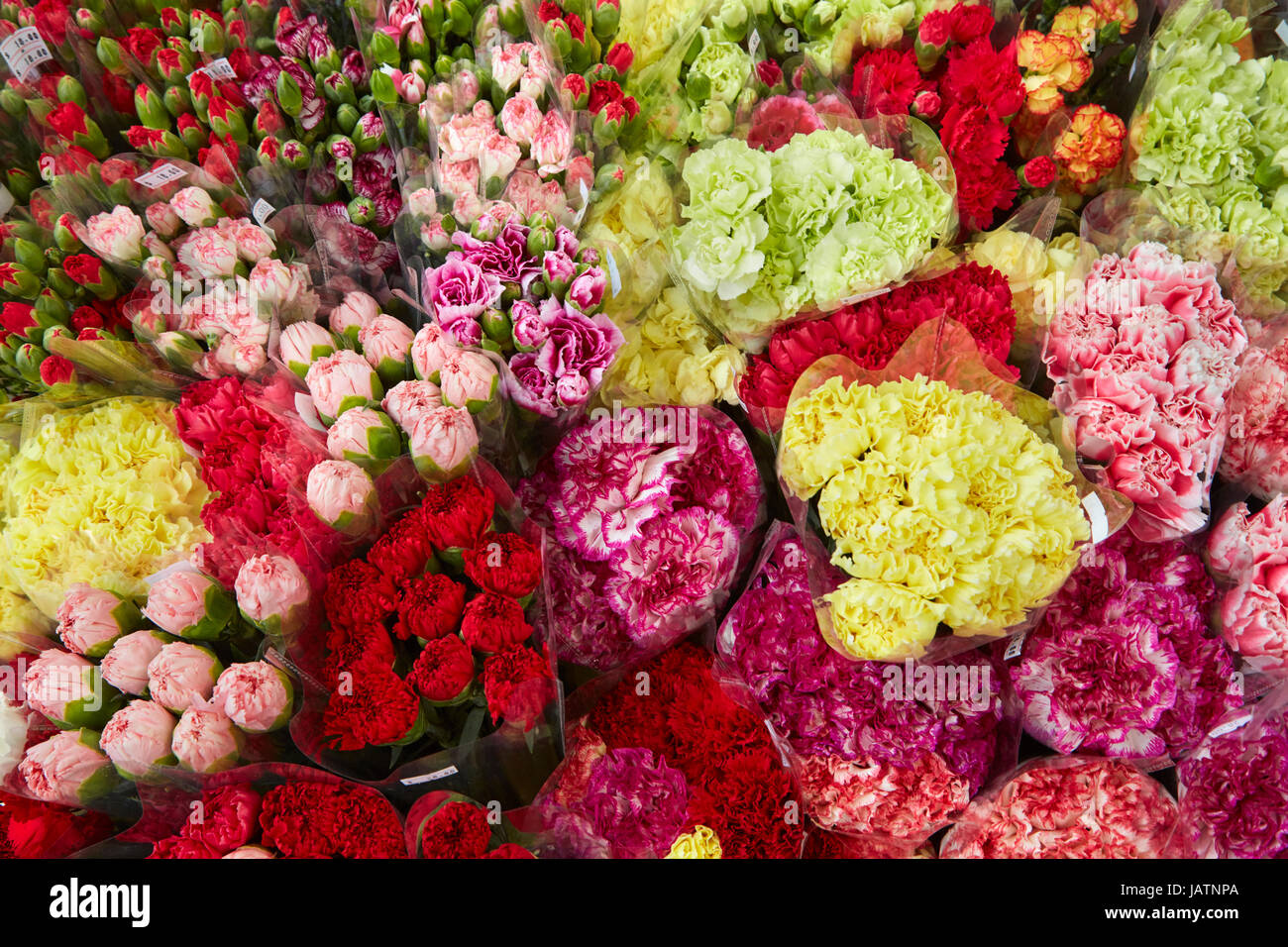 Cut flowers at Hong Kong Flower market, Mong Kok, Kowloon, Hong Kong