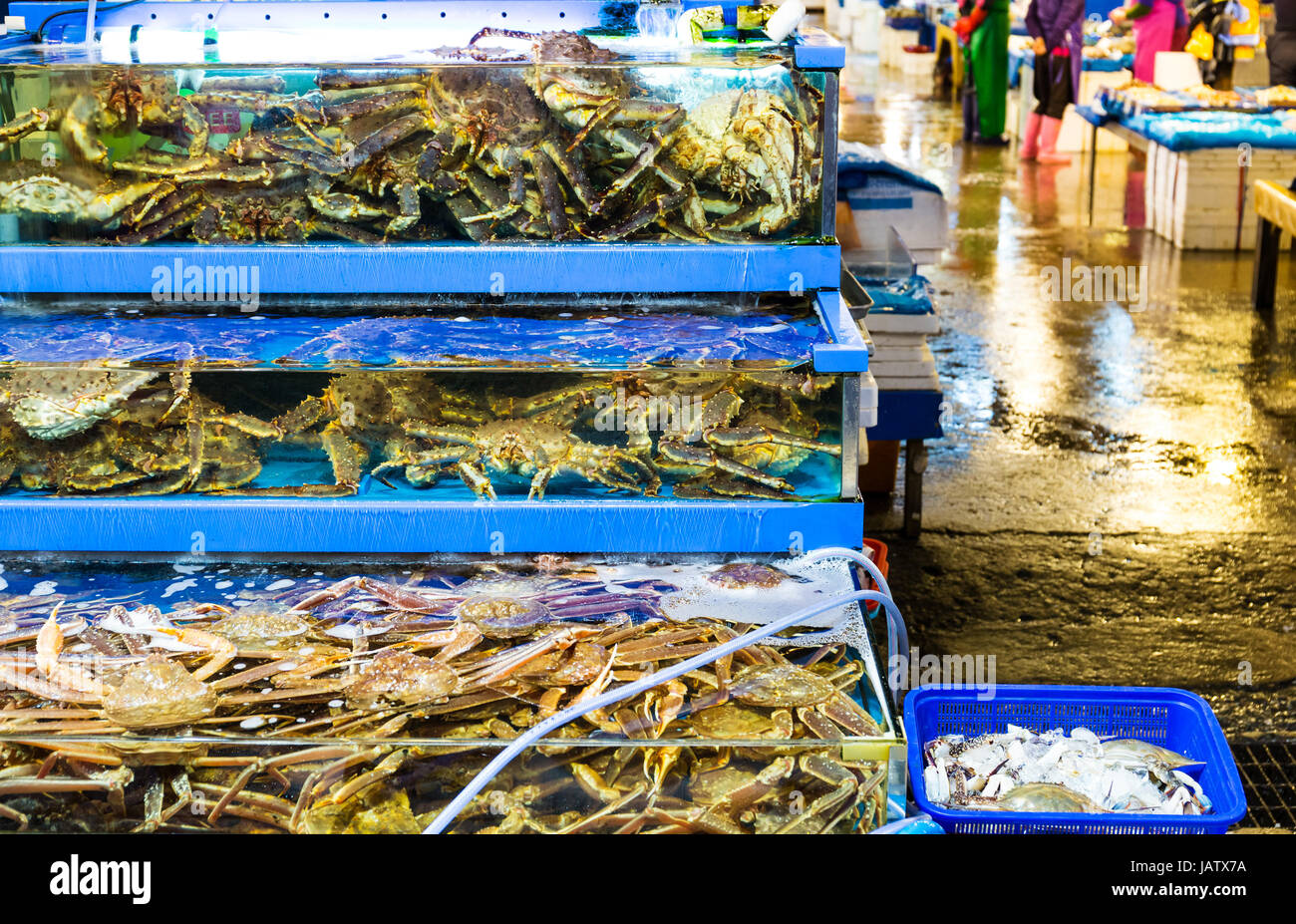 Seafood market fish tank Stock Photo Alamy