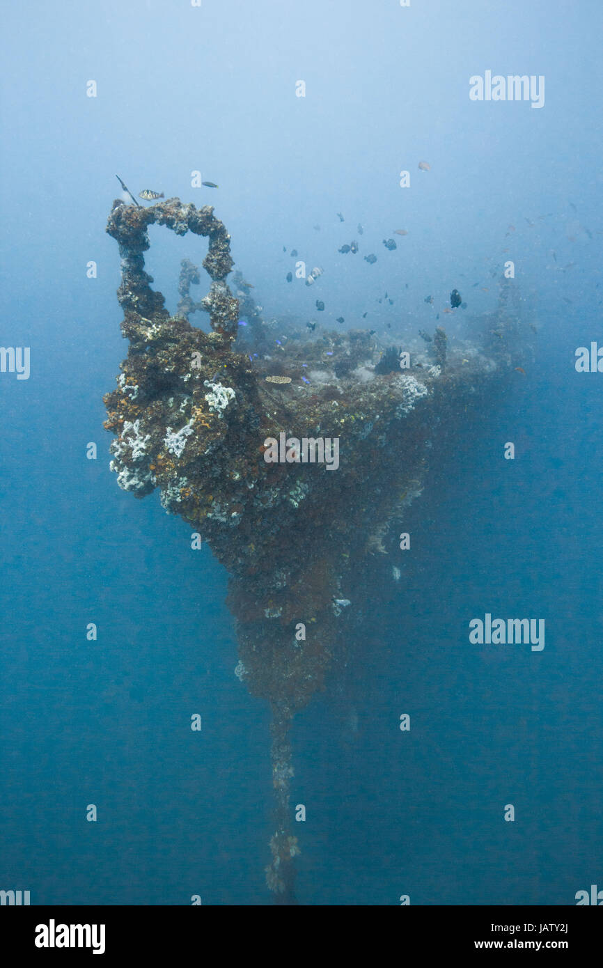 bow of hmas brisbane underwater australia Stock Photo Alamy