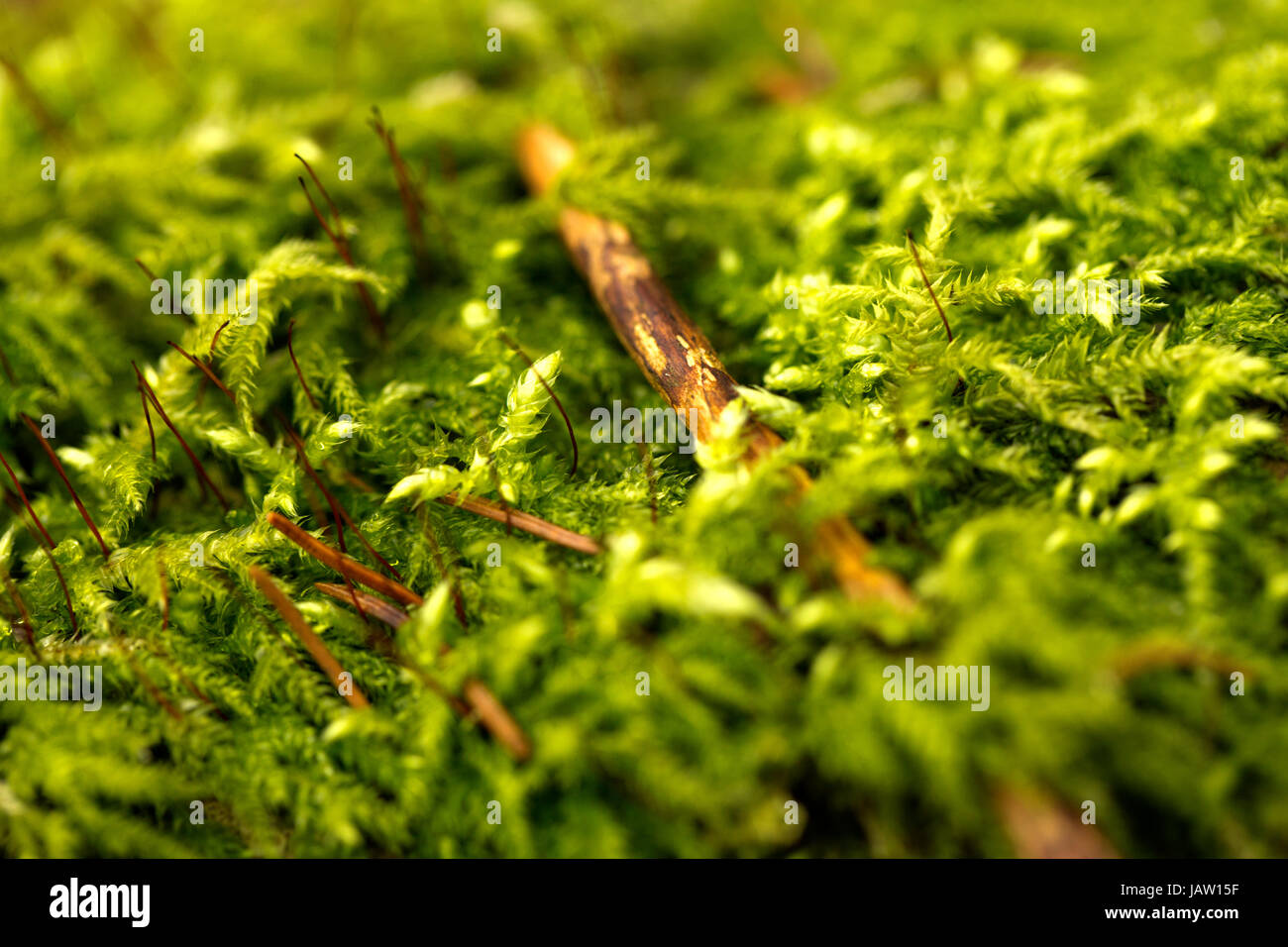 heavenly body celestial body Stock Photo Alamy