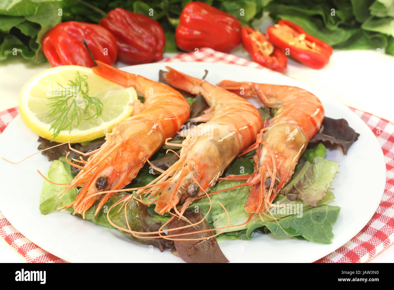 Garnelen gambas hi-res stock photography and images - Alamy
