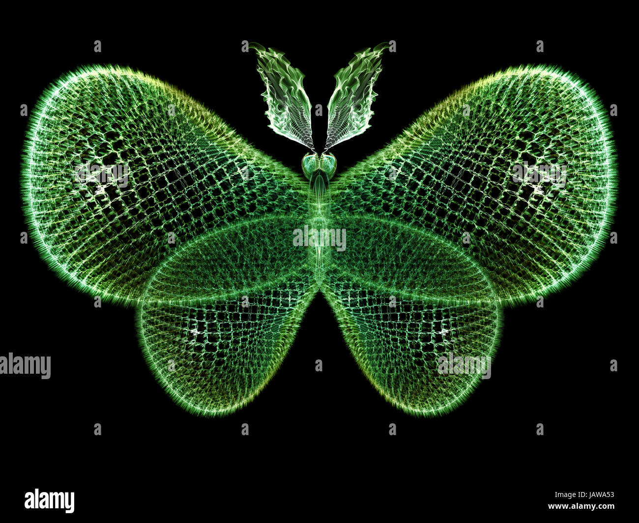 Never Were Butterflies series. Abstract composition of isolated ...