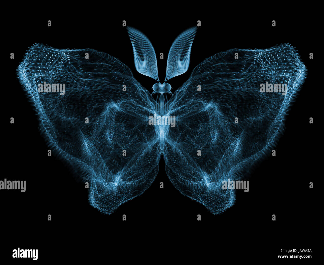 Never Were Butterflies series. Graphic composition of isolated ...