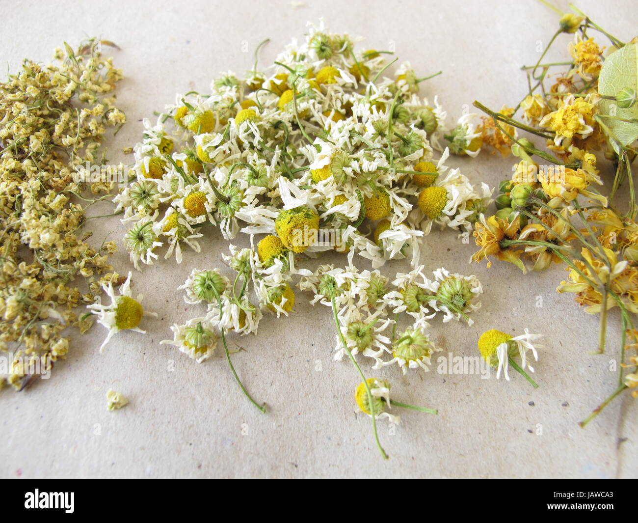 dried tea herbs Stock Photo Alamy