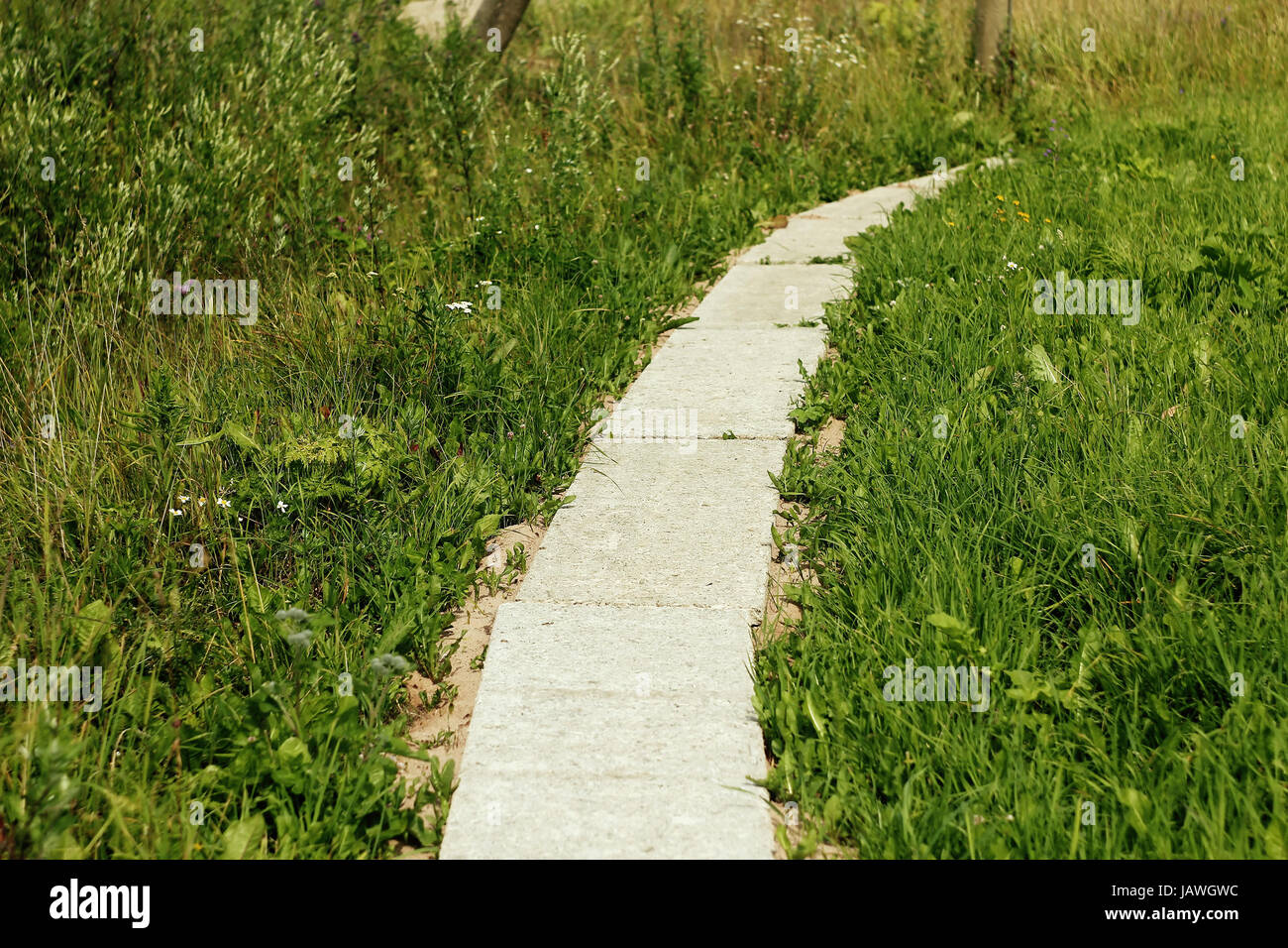 Concrete garden path Stock Photo