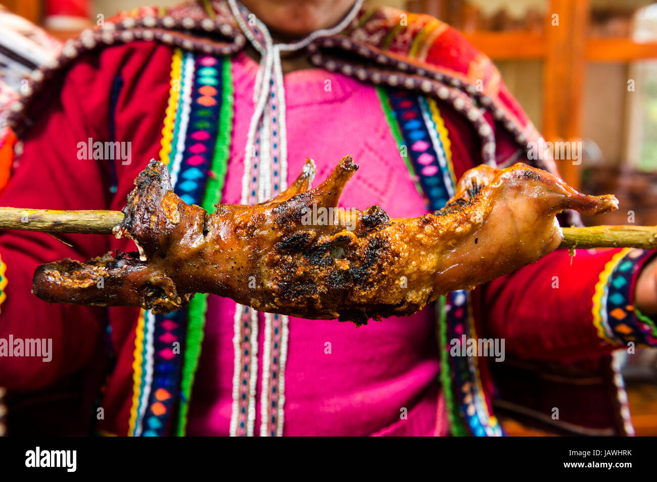 An Amaru woman holding a cooked guinea pig called a Cuy. Stock Photo