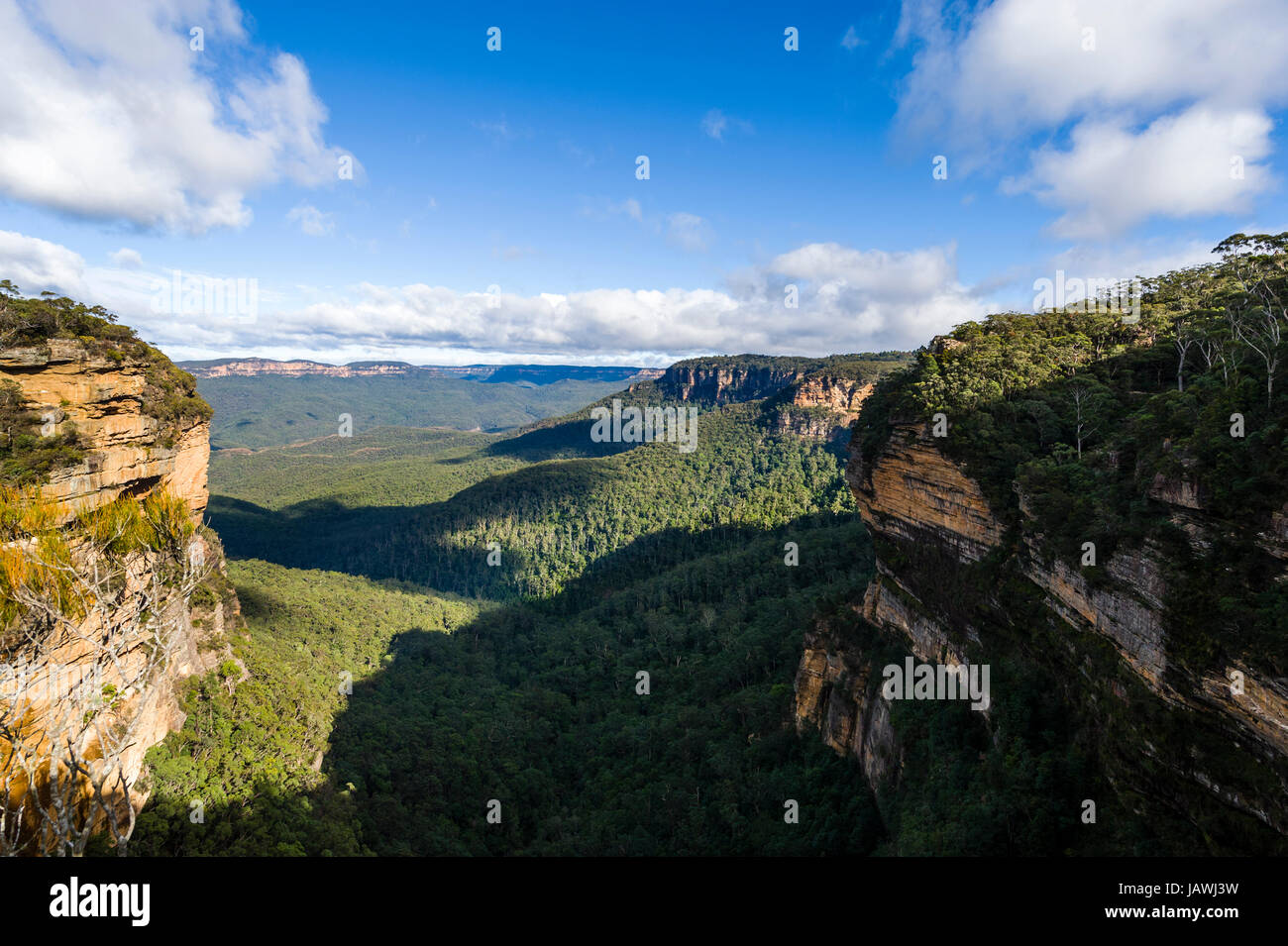 A dense forest canopy carpets the floor of a sandstone gorge. Stock Photo