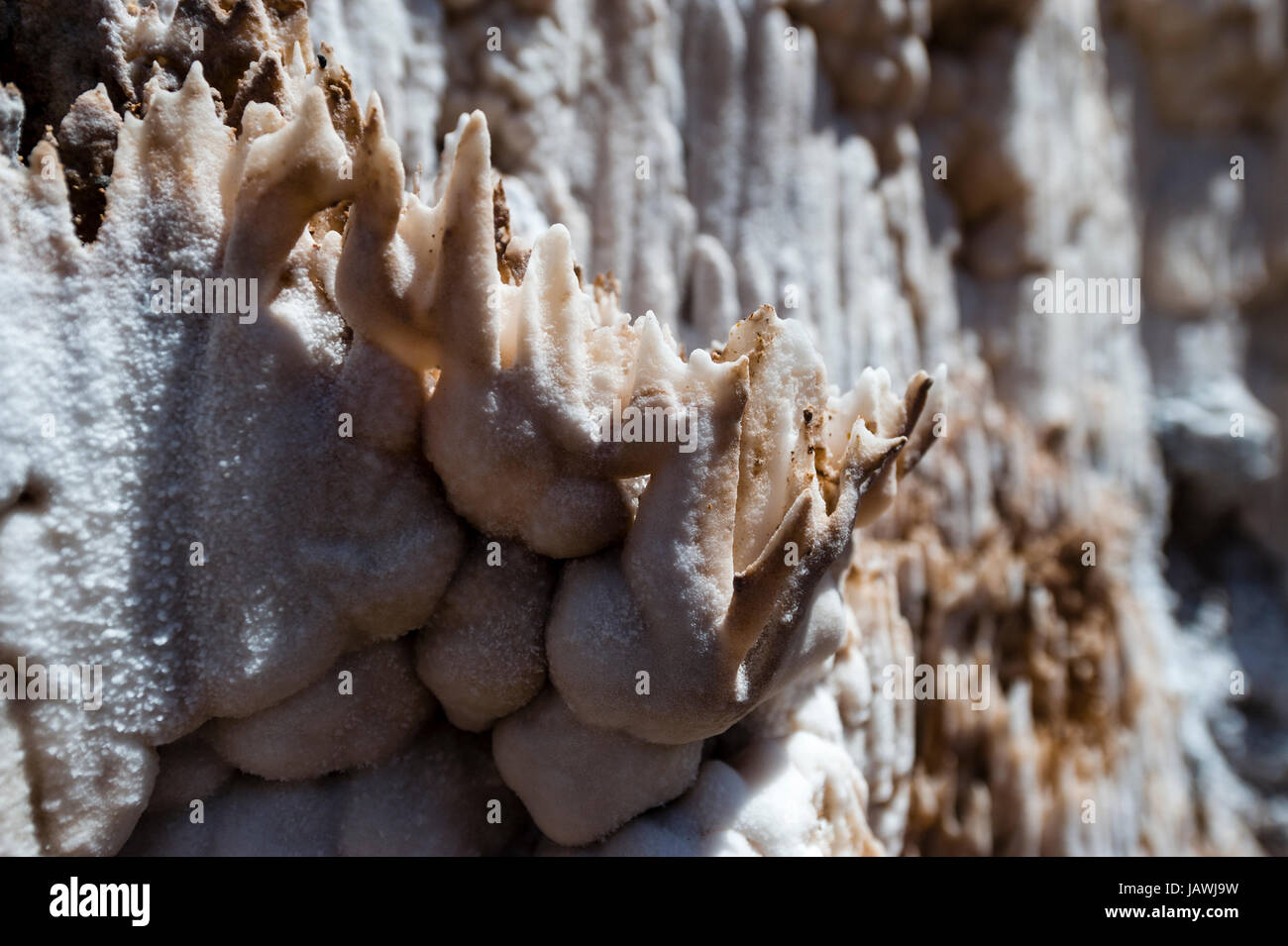 Salt deposits on the clay. Stock Photo