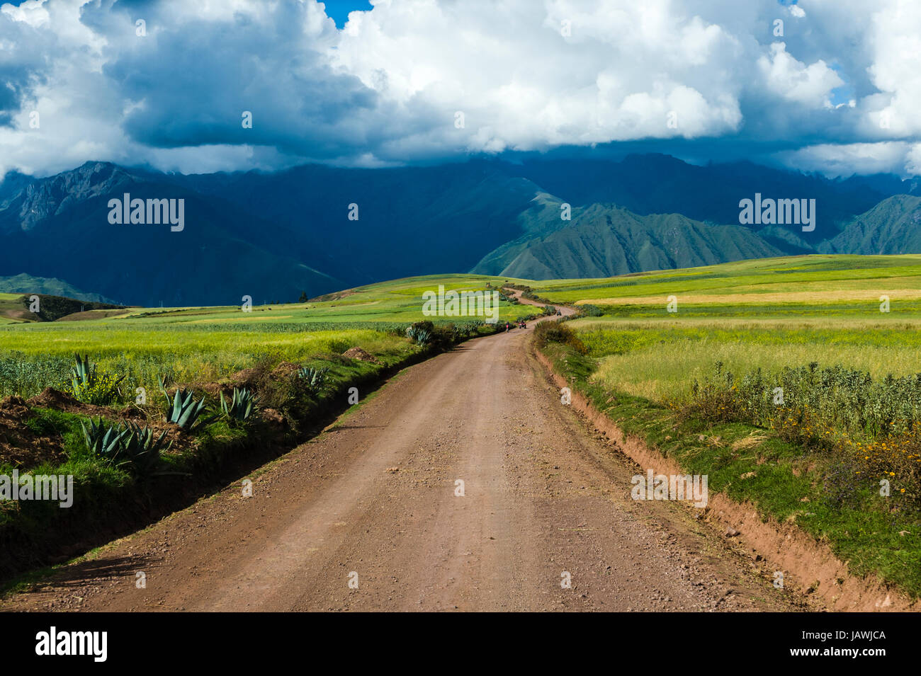 A dirt road crosses a lush green high altitude farming plateau in the Andes mountains. Stock Photo