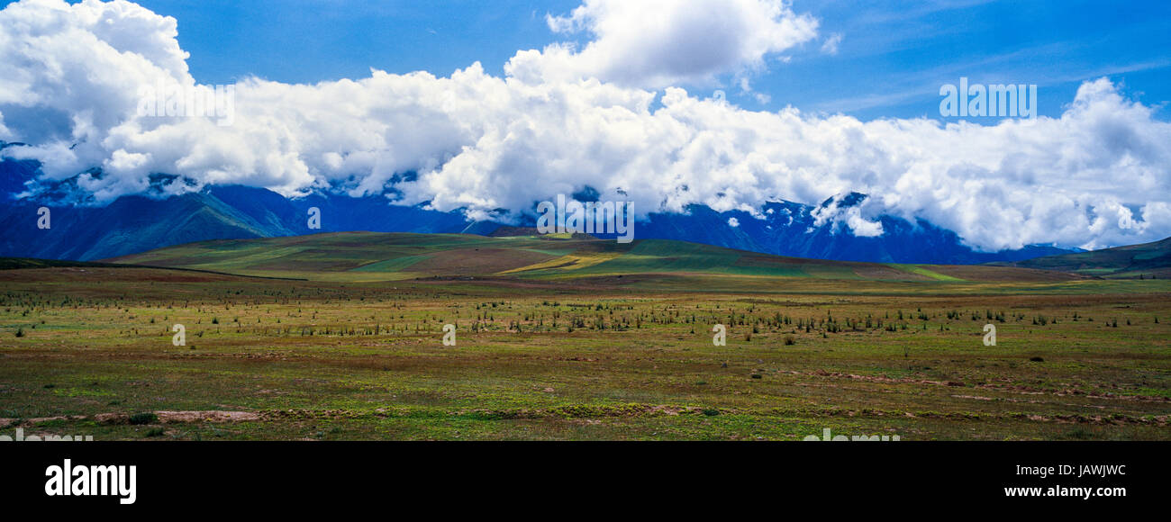 A high altitude plateau covered in an agricultural crop beneath cloudy peaks. Stock Photo