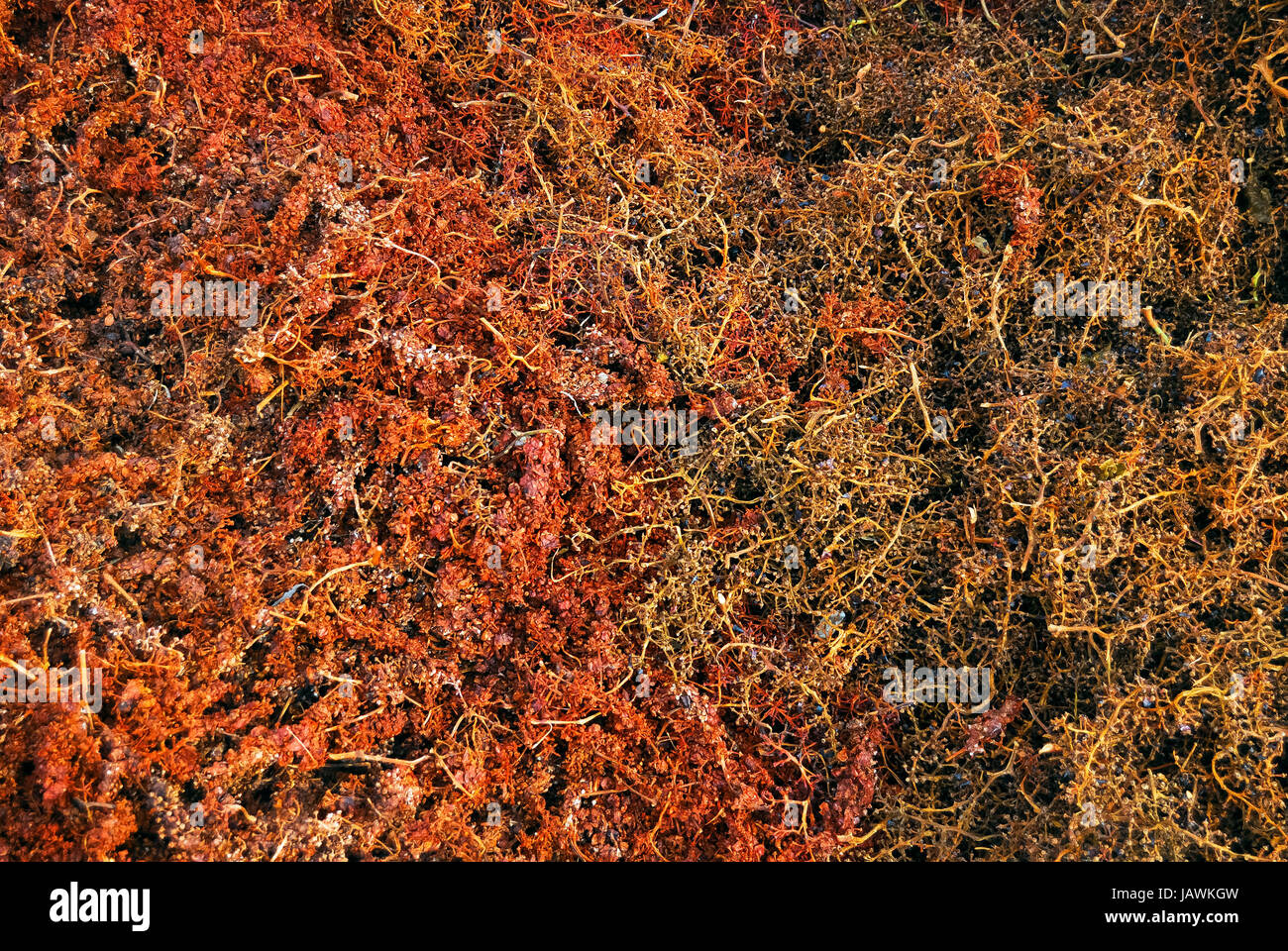 pomace of grapes Stock Photo Alamy