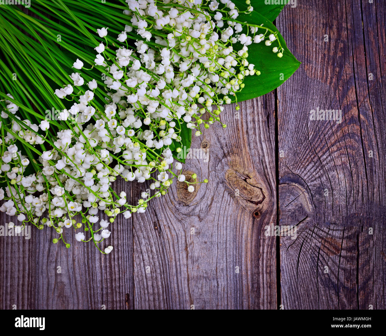 bouquet of white lilies of the valley on a gray wooden surface, an ...