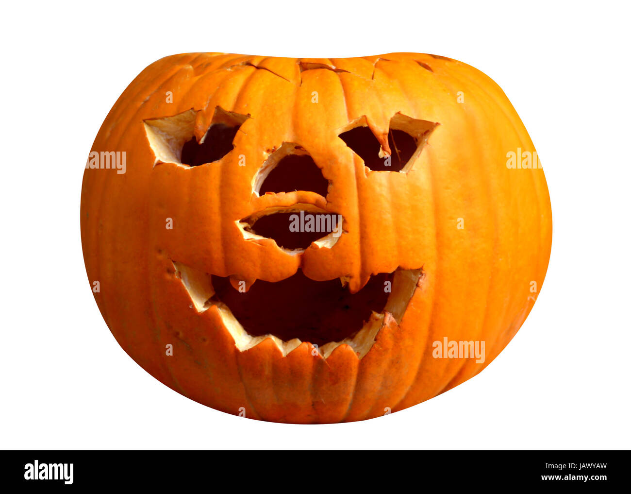 Halloween pumpkin isolated on white studio background Stock Photo - Alamy