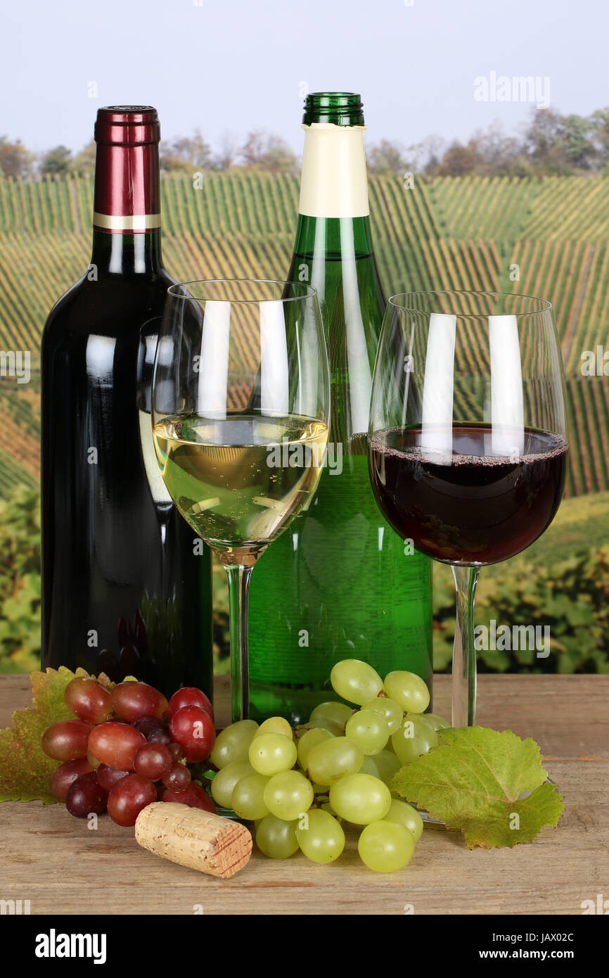Rotwein und Weißwein in Flaschen mit Weintrauben in den Weinbergen Stock Photo