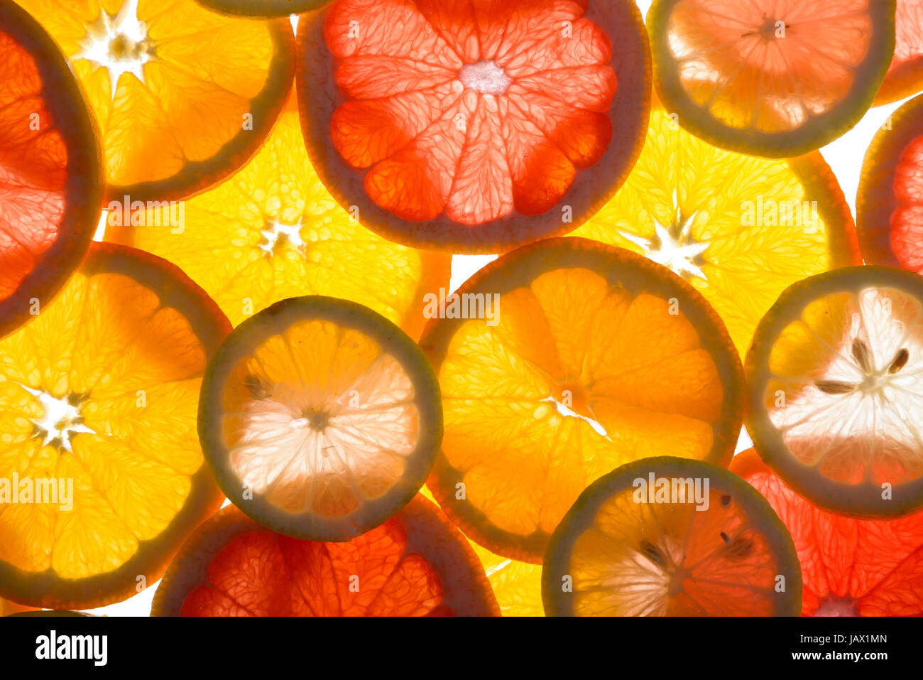 background of citrus sliced taken in backlight Stock Photo