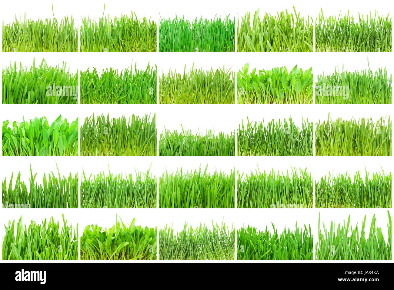 Fresh green grass isolated on white background Stock Photo - Alamy