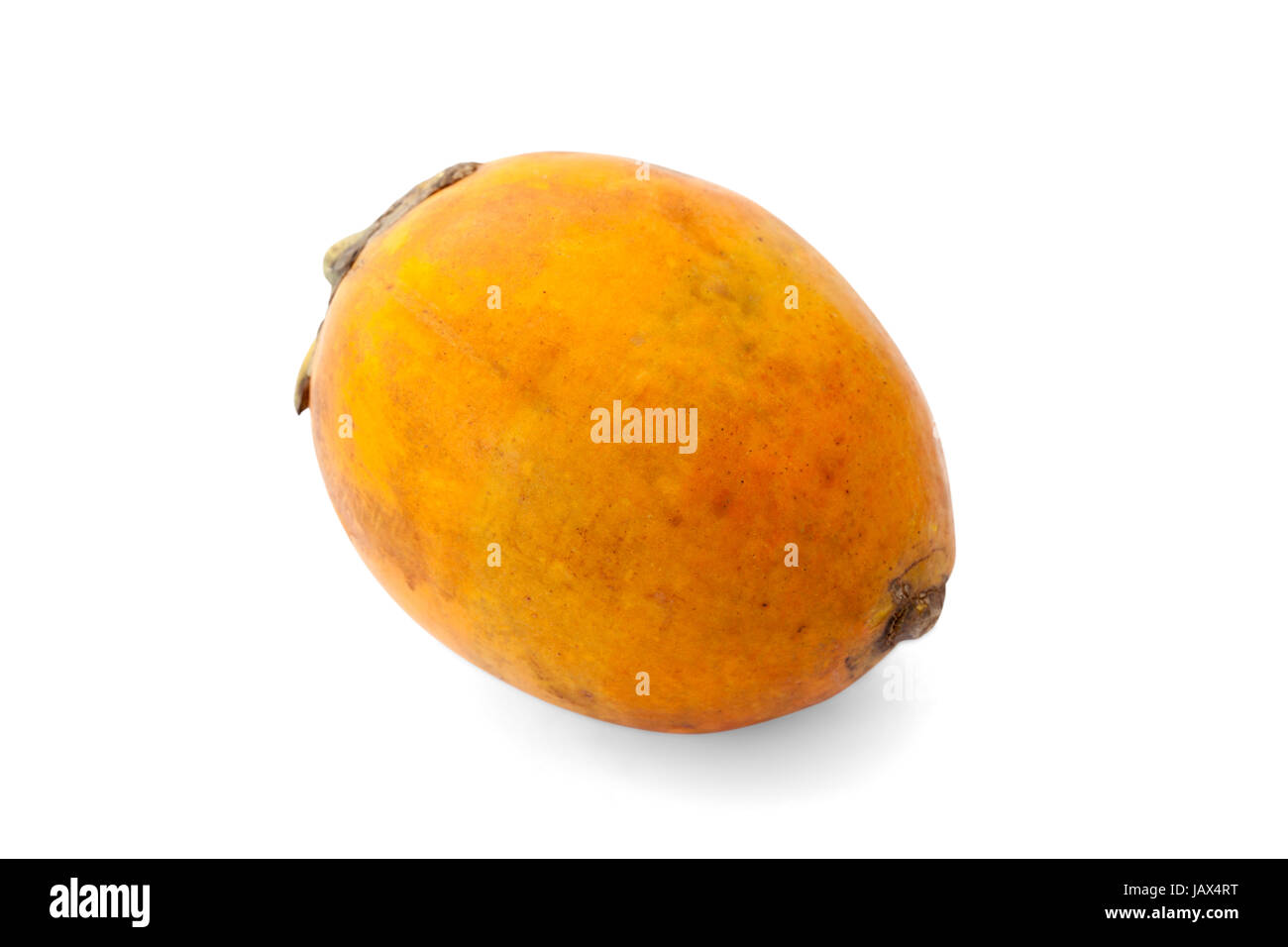 ripe acera or betel palm nut fruit isolate on white blackground Stock Photo