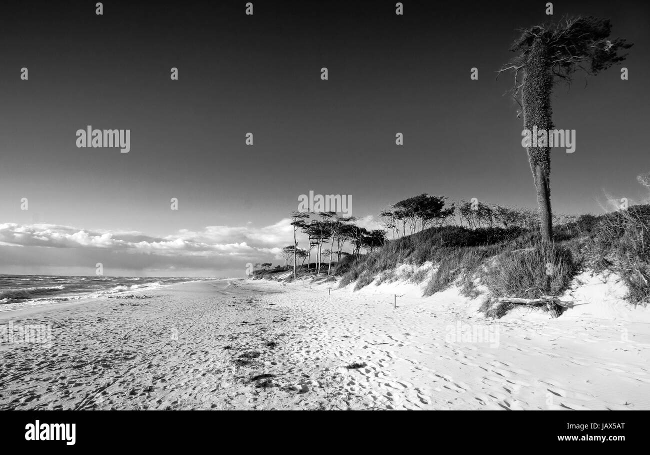 salt water sea Stock Photo Alamy