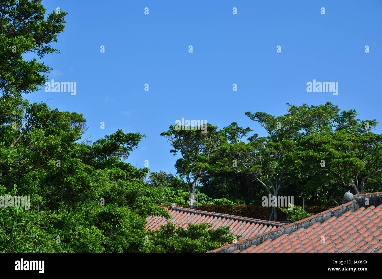 Japanese traditional tiled roof at the island Okinawa Stock Photo