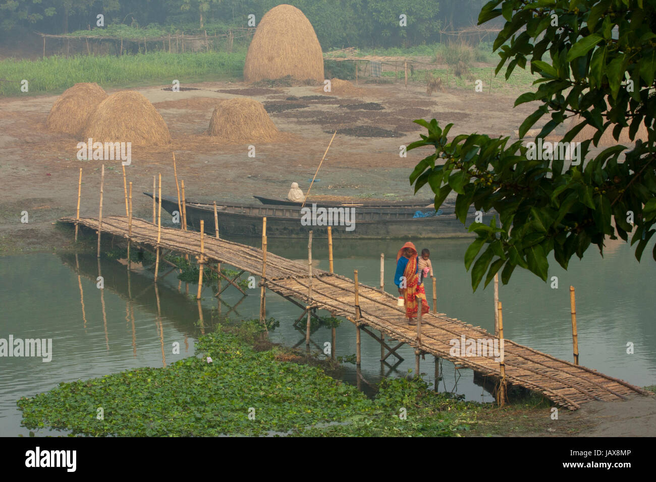 A mother crosses bamboo made makeshift bridge at Singair. Manikganj, Bangladesh. Stock Photo