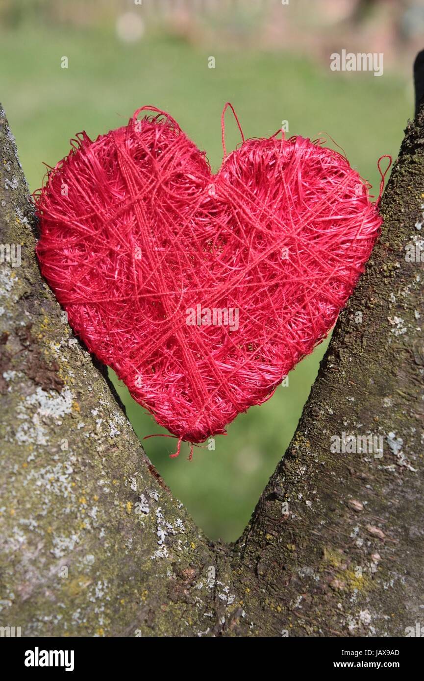in love fell in love Stock Photo - Alamy