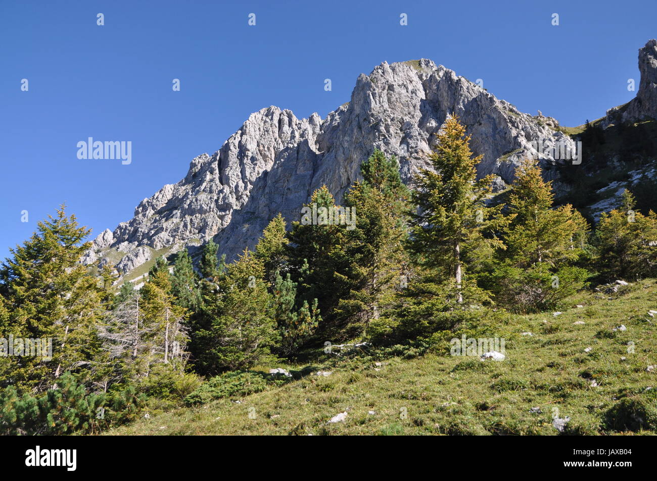 schafnase, furgge,  berge, gebirge, schweiz, zentralschweiz, giswil, emmentaler alpen, natur, gipfel, schroff, steil, glaubenbuelen, glaubenbuelenpass, glaubenbielenpass Stock Photo